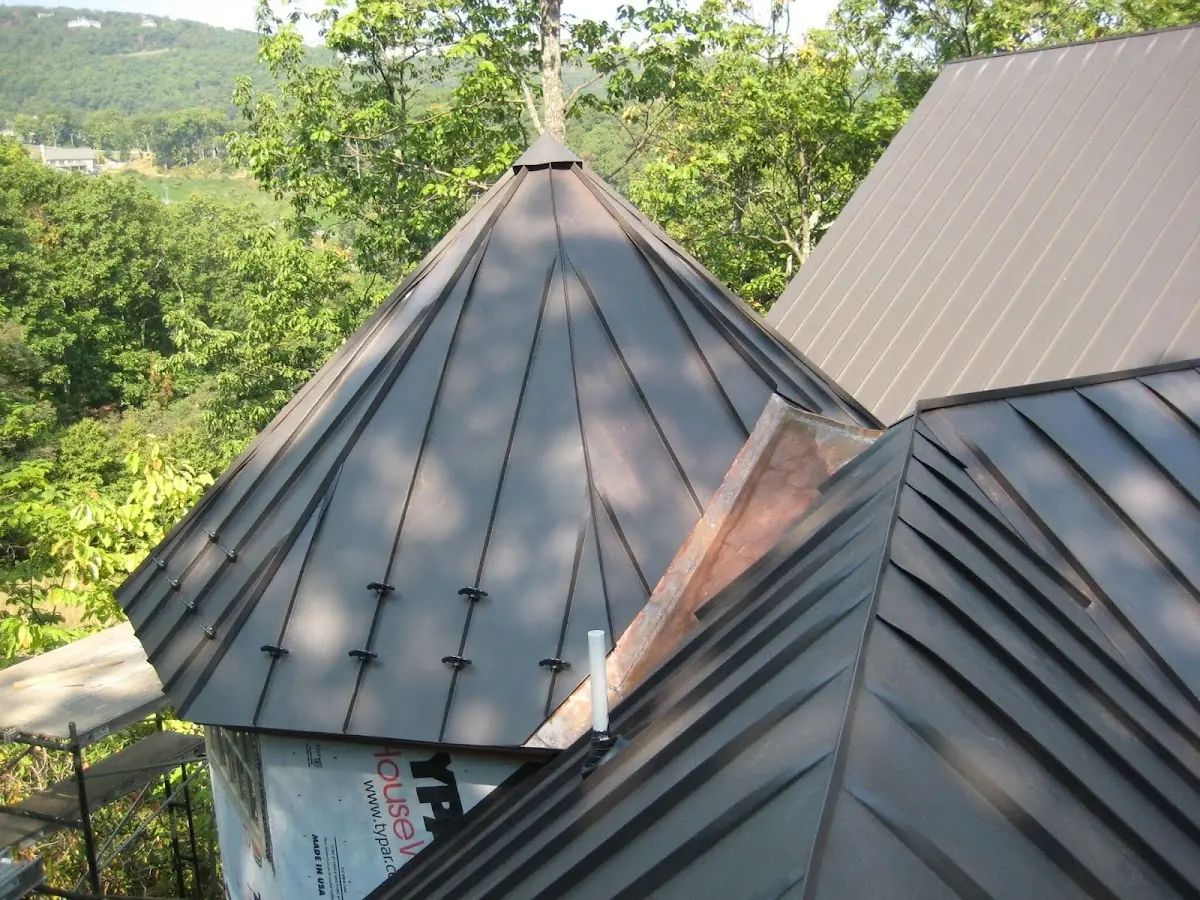 Professional Gutter Cleaning by Craftsman Roofing in Roanoke